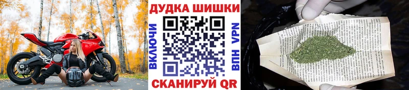 МАРИХУАНА OG Kush  Купить  Приозерск 